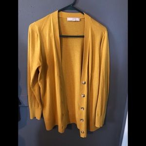 Loft cardigan